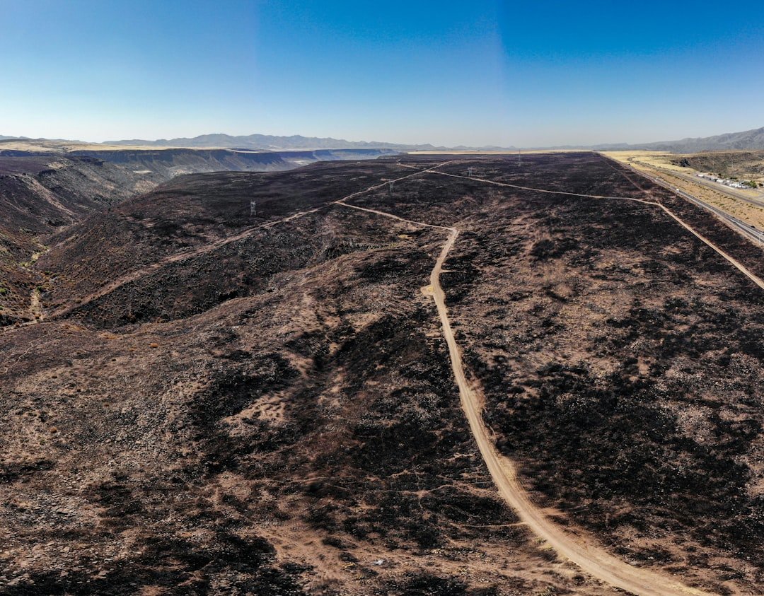 Soil Alchemy in a Burned World (image credits: unsplash)