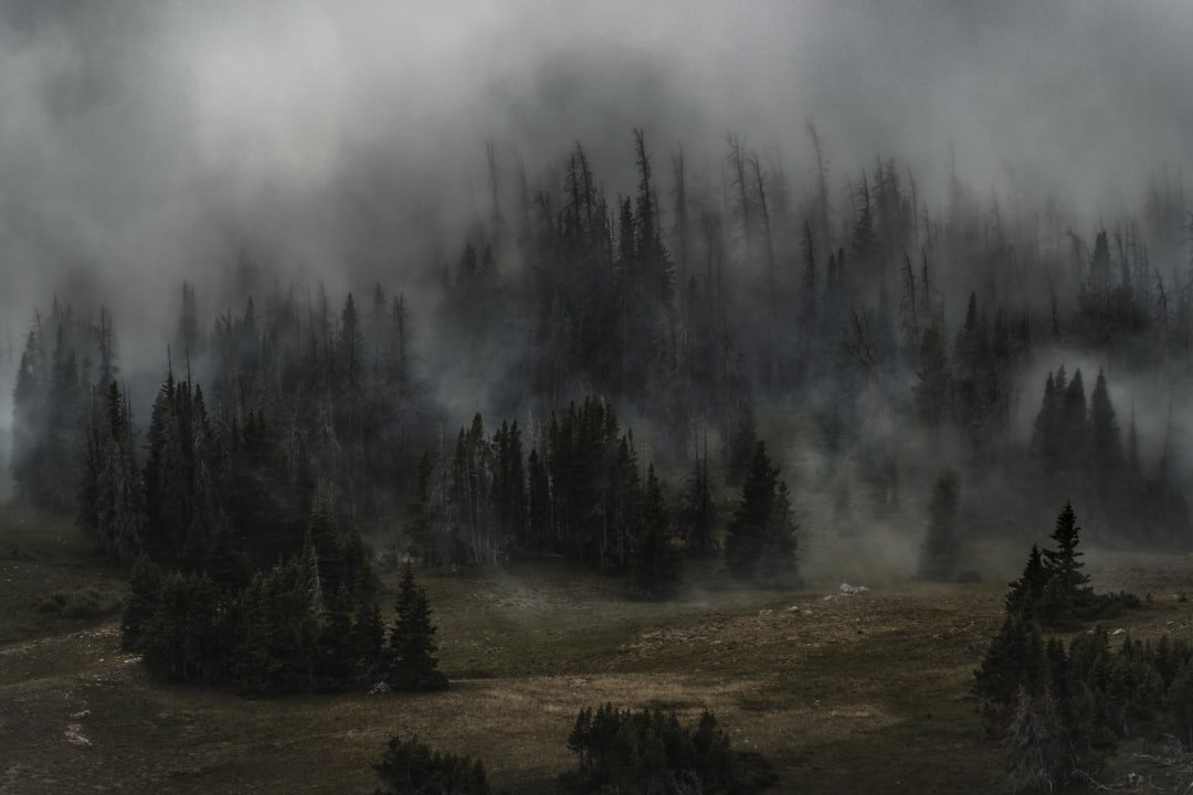 Global Perspectives (image credits: unsplash)