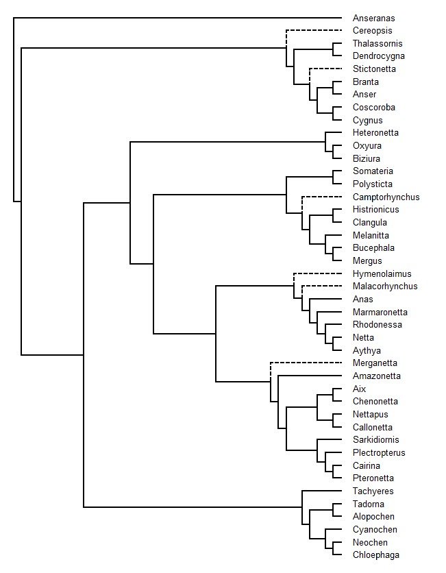 Cladistics and Tree-Thinking (image credits: wikimedia)
