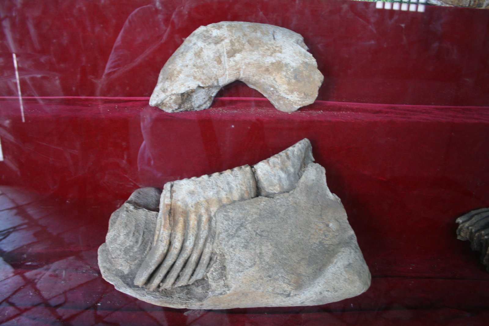 Stable Isotopes and the Chemistry of Ancient Lives (image credits: wikimedia)