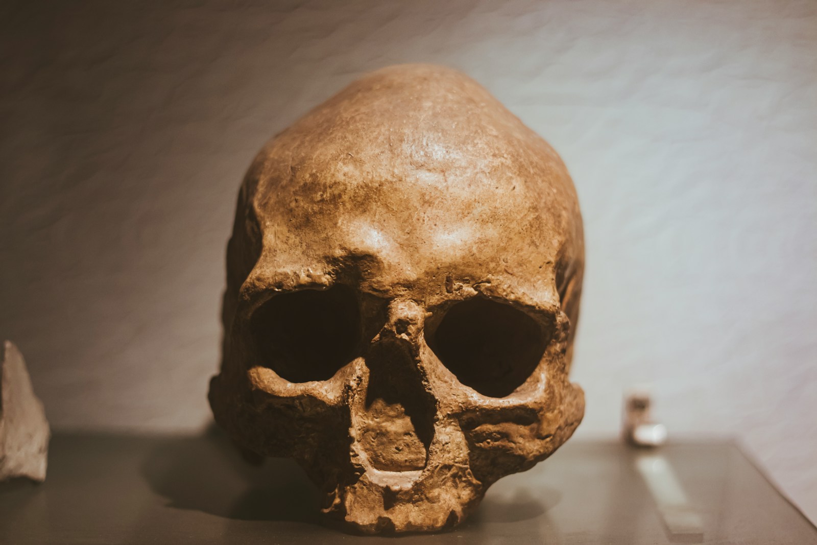 Ancient Skull Sparks Debate: Hybrid of Modern Human and Neanderthal?