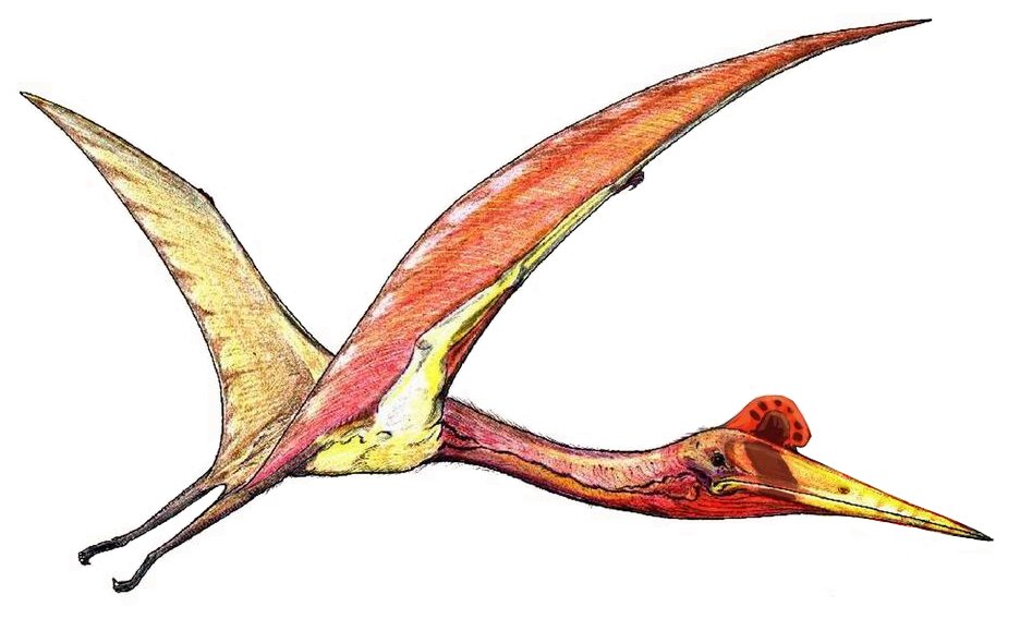 Quetzalcoatlus