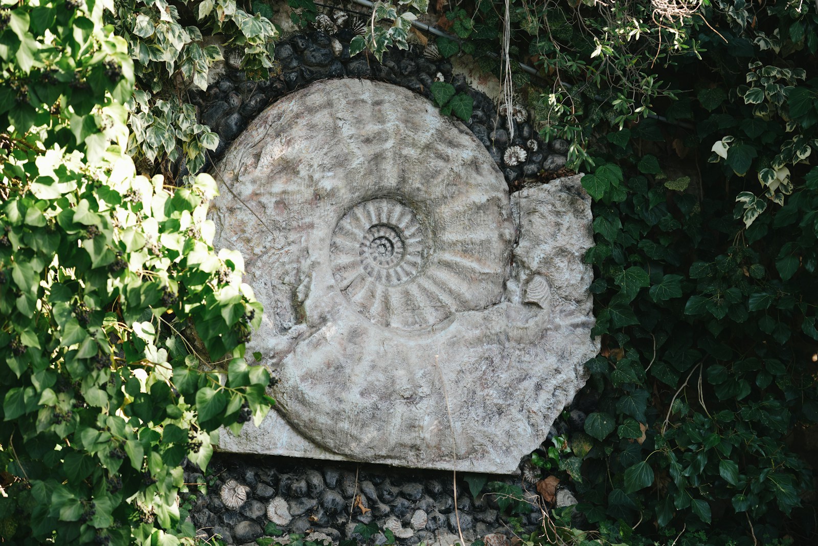 Helicoprion: The 270-Million-Year-Old Shark With a Buzz Saw for a Jaw
