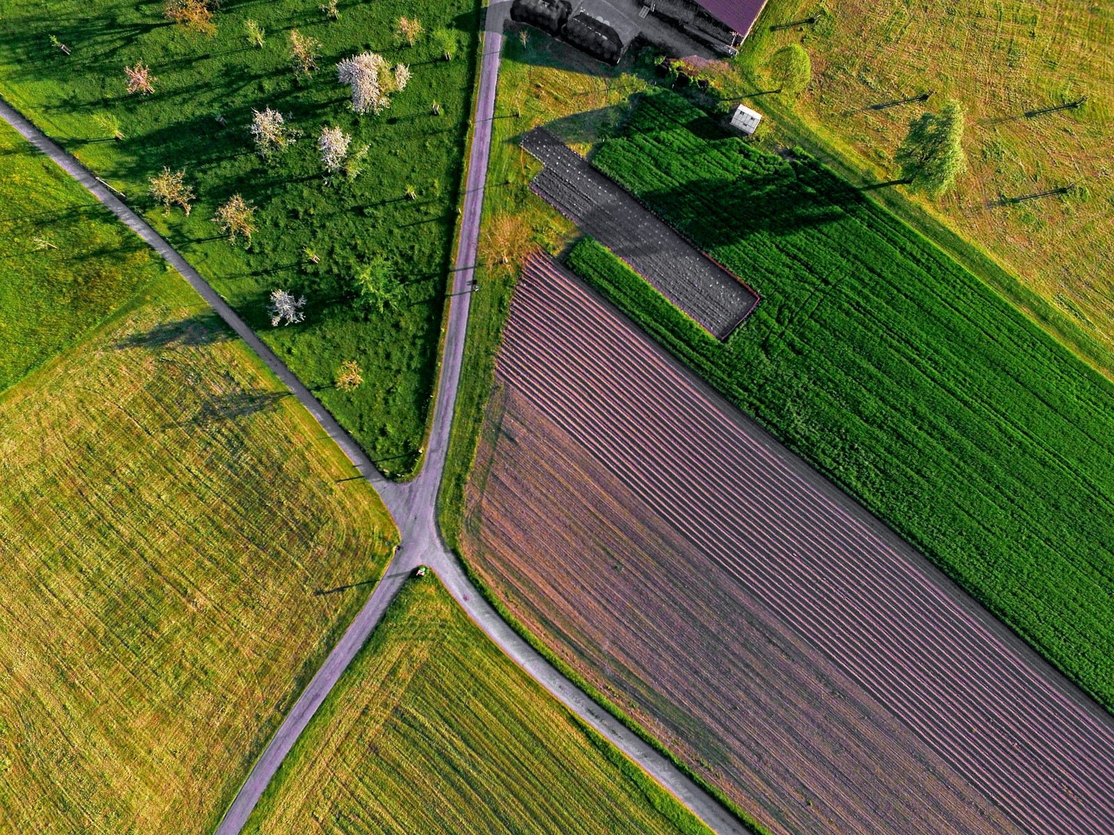 As the Planet Warms, a Silent Epidemic Is Taking Root in the Fields