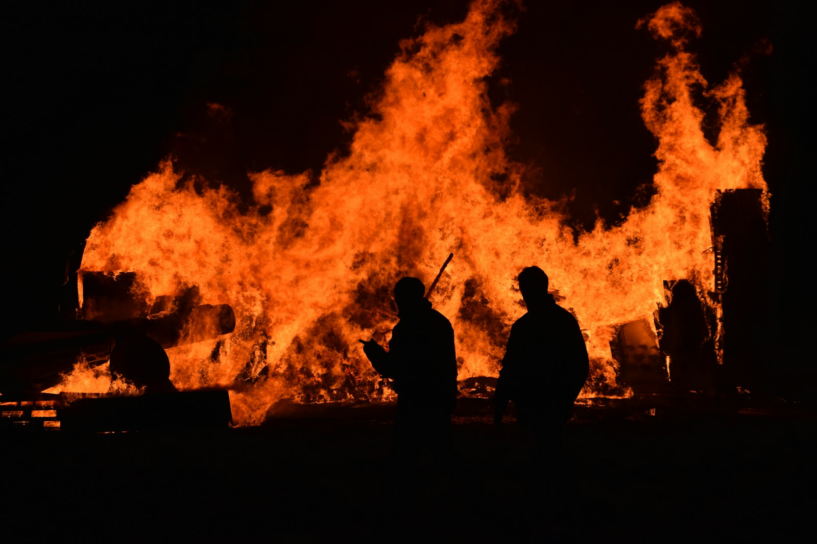 Fireproof Flora: How Some Plants & Trees Need Flames to Reproduce