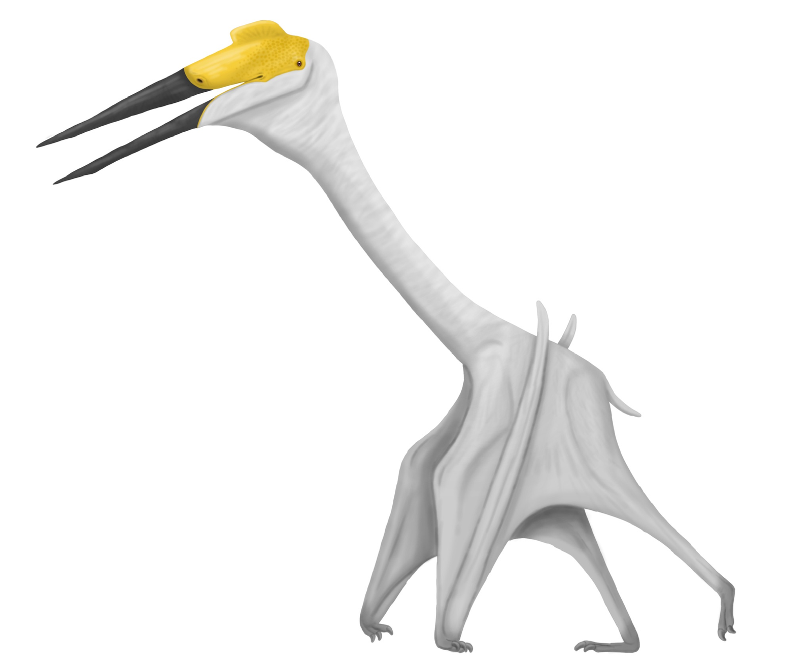 5 Flying Reptiles From 70 Million Years Ago That Dwarf Modern Birds