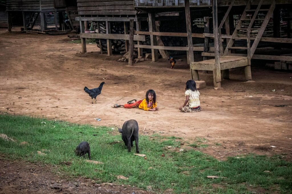 Two children playing in a rural setting with pigs and chickens nearby, capturing a simple lifestyle.