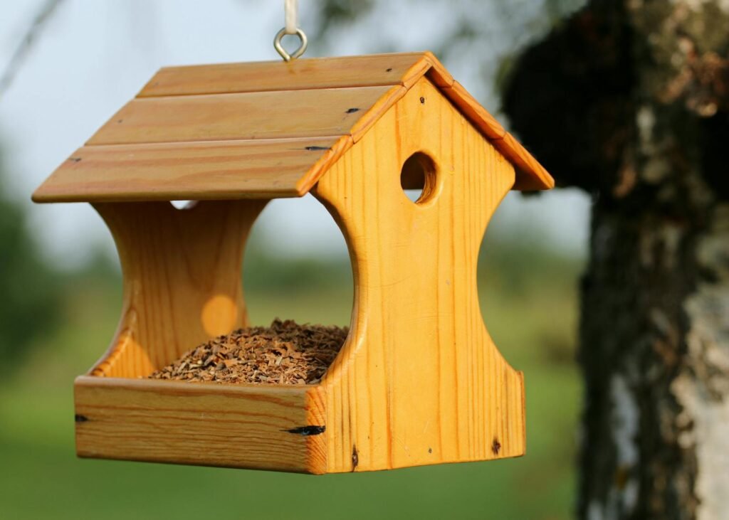 A wooden birdhouse hanging in a tree filled with seeds, perfect for attracting birds.