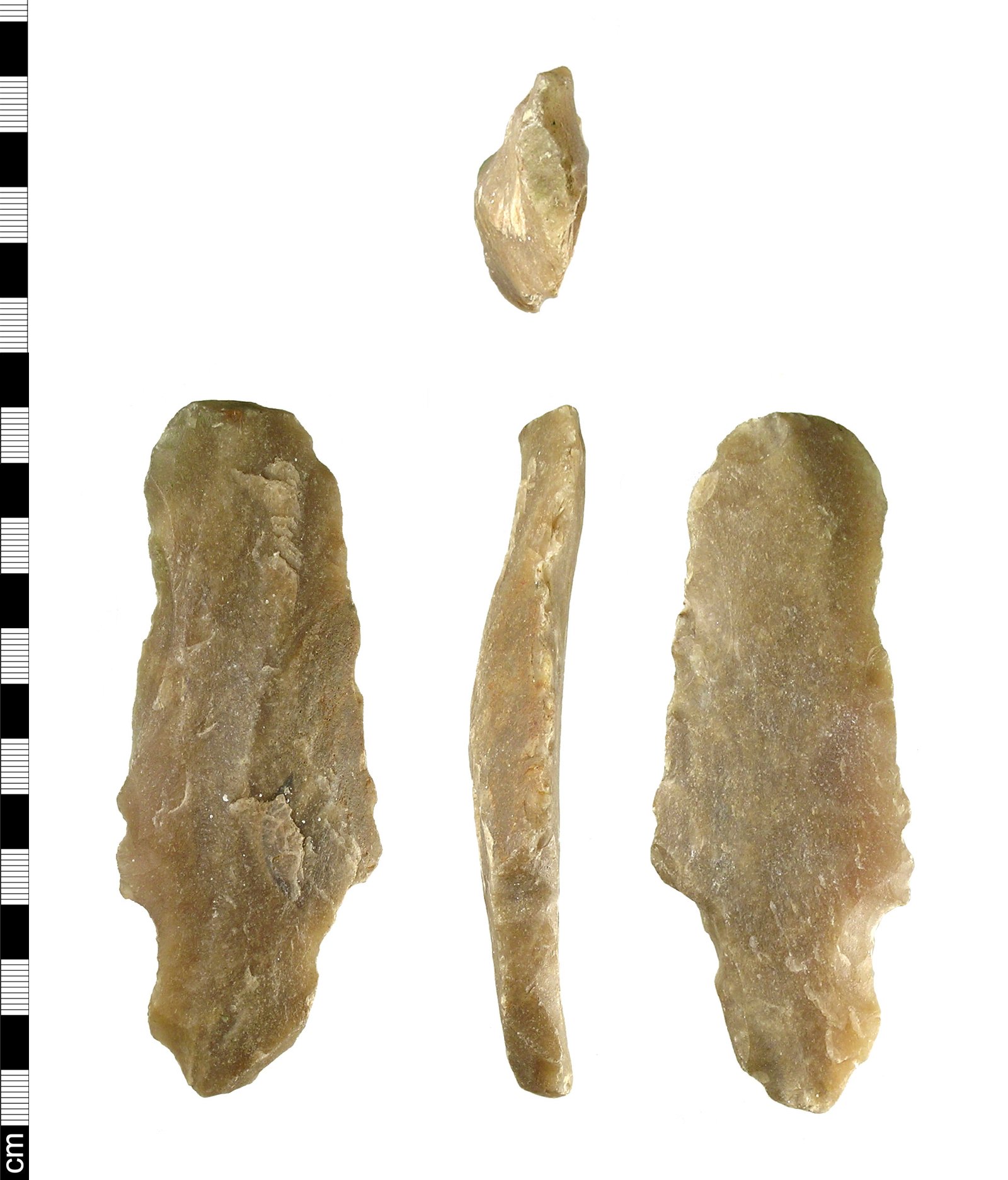Thunderbolts or Tools? Stone Handaxes Get Their Due (image credits: wikimedia)