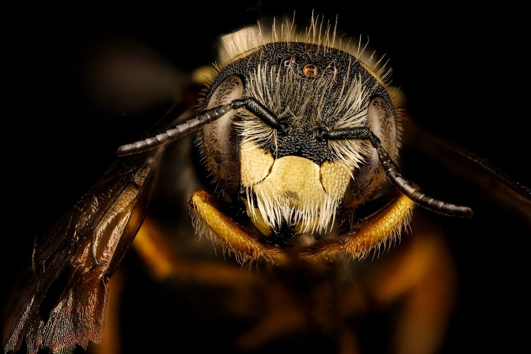 Faces in a Swarm (image credits: unsplash)