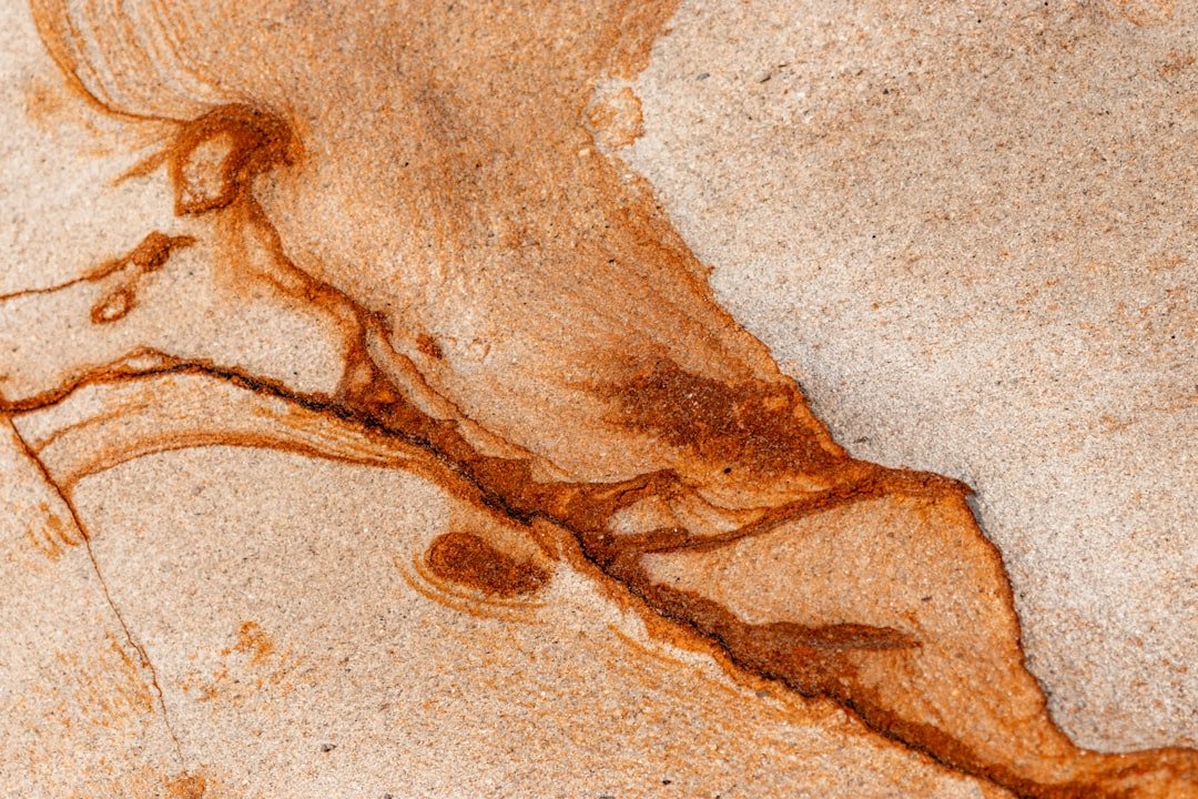 Fossil Hotspots and Global Perspectives (image credits: unsplash)