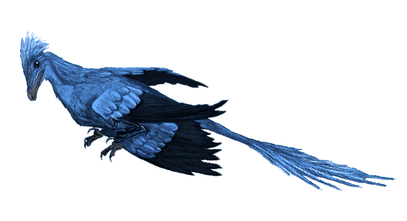Four Wings, One Leap: Microraptor’s Forest Experiments (image credits: wikimedia)