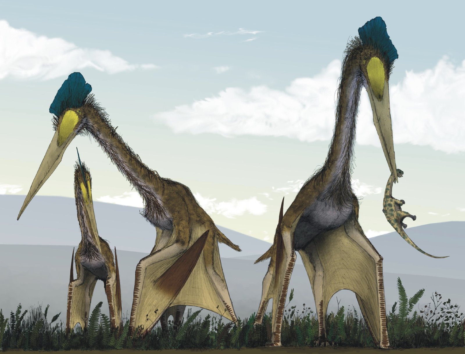 Life on the Hațeg Island (image credits: wikimedia)