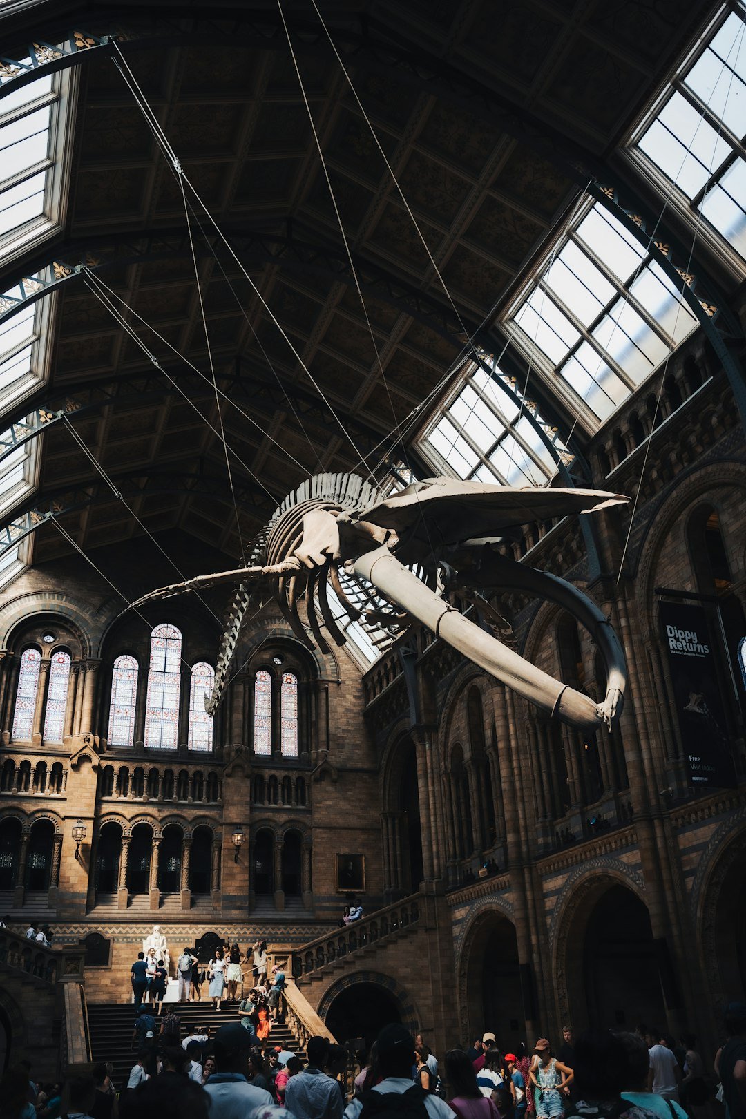 How You Can Get Involved (image credits: unsplash)