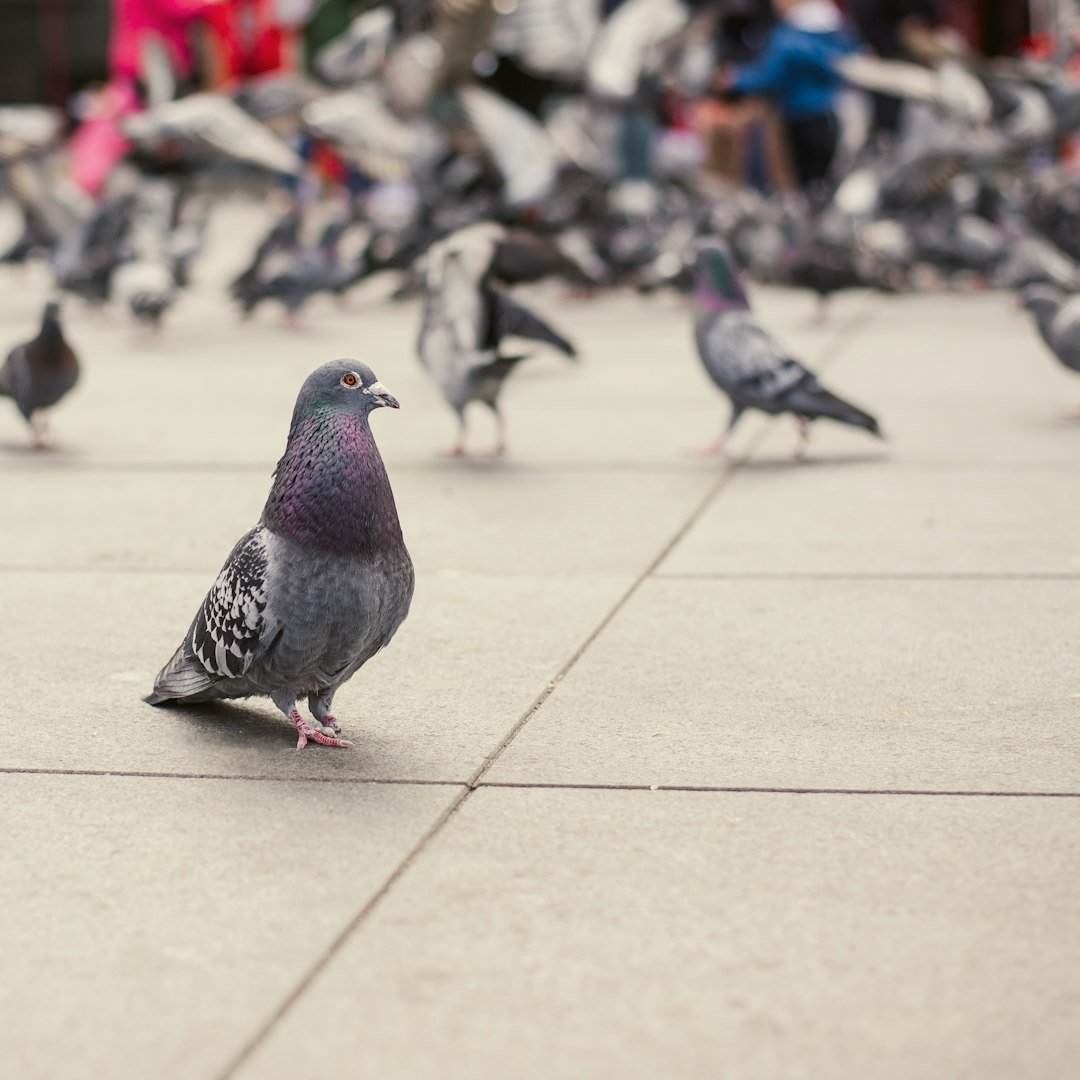 Beyond Numbers You Didn’t Expect (image credits: unsplash)