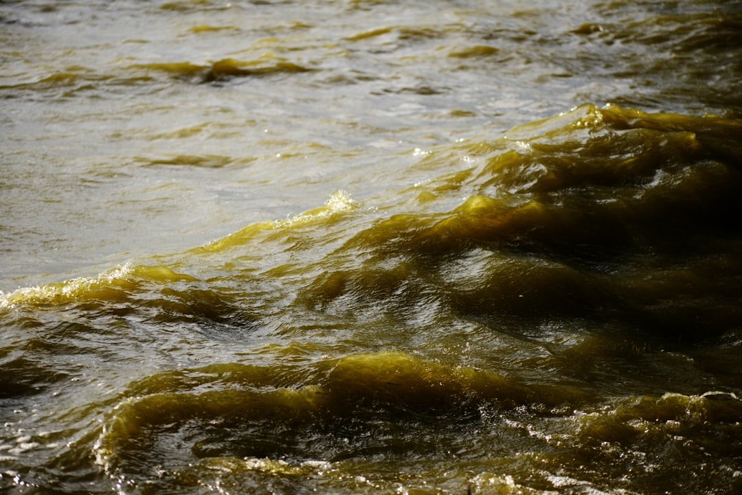 Flood: Water, Microbes, and the Race Against Time (image credits: unsplash)