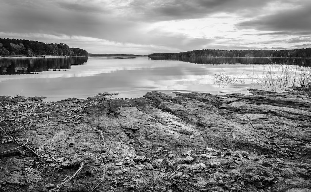 Climate on Trial (image credits: unsplash)