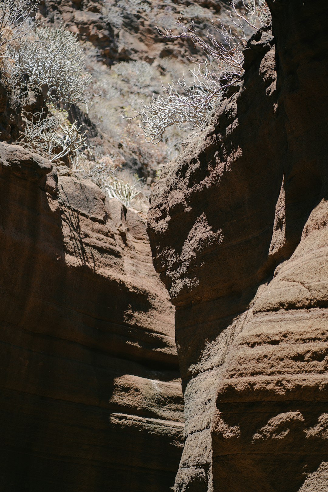 The Hidden Human Scale (image credits: unsplash)