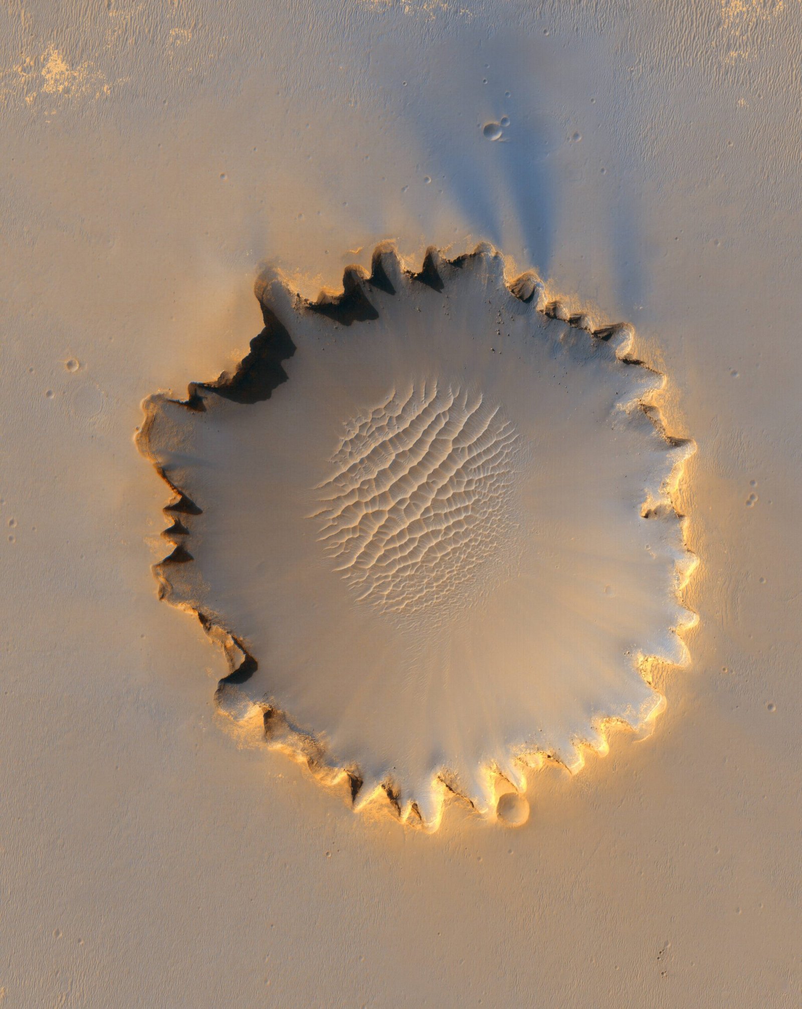 Impact Winter: When Space Reset the Biosphere (image credits: wikimedia)