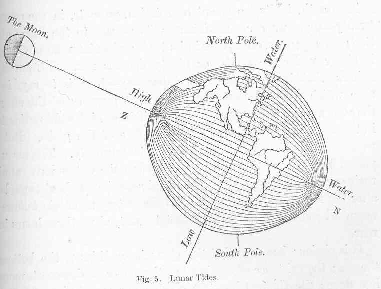Gravity’s Slow Sculptors: Tides and Orbital Rhythms (image credits: wikimedia)