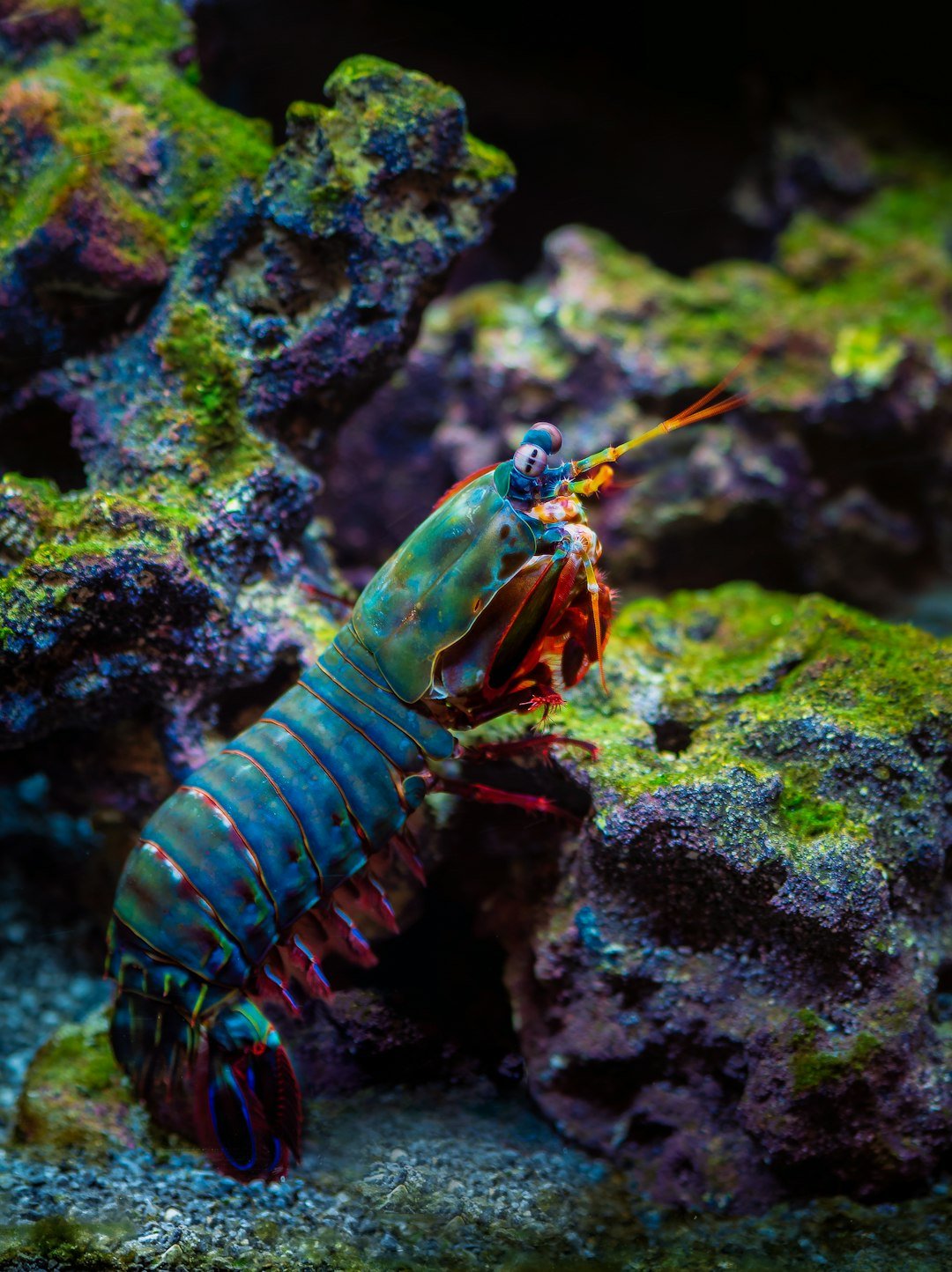 From Ancient Tools to Modern Science (image credits: unsplash)