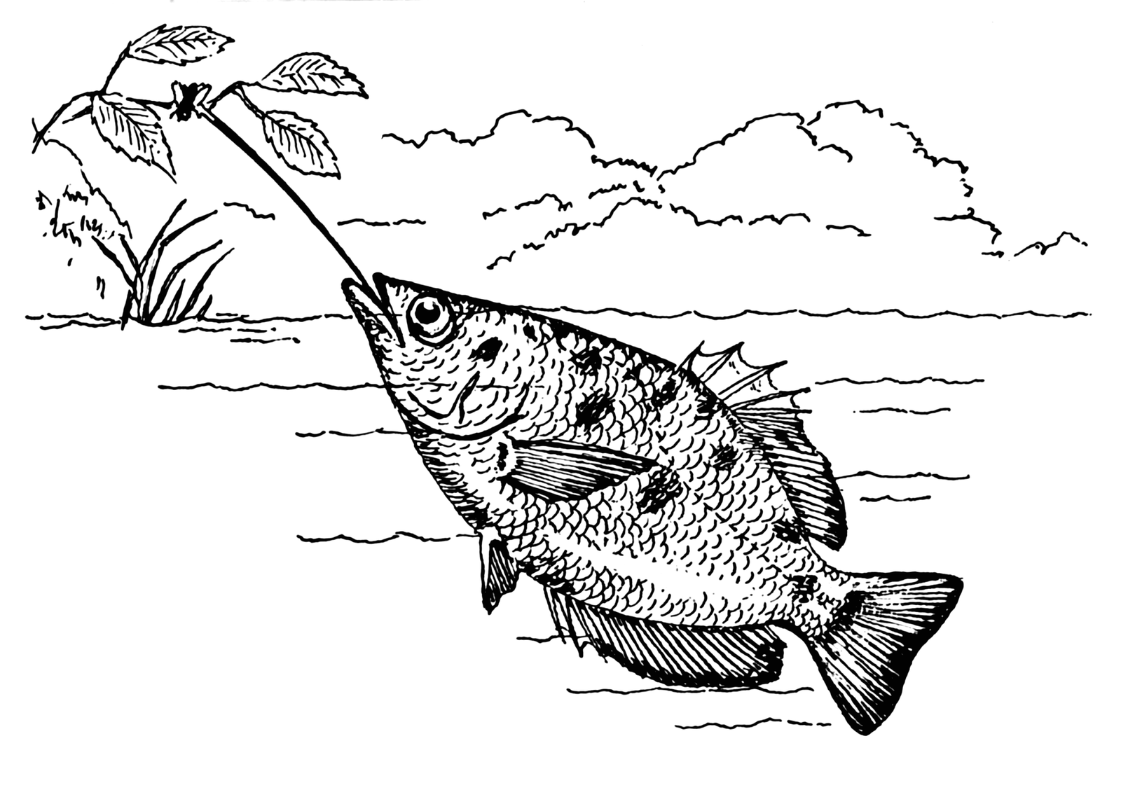 Hitting a Moving Target (image credits: wikimedia)