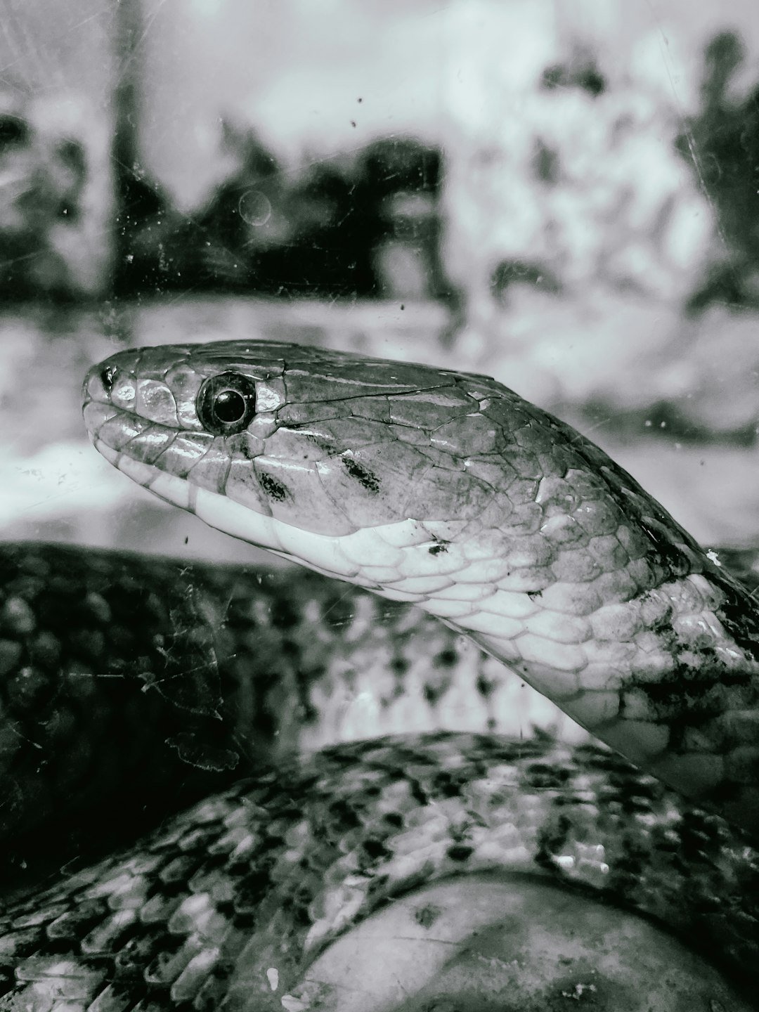 Targeting the Eyes (image credits: unsplash)