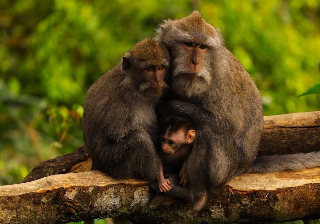 Rethinking the Alpha (image credits: unsplash)