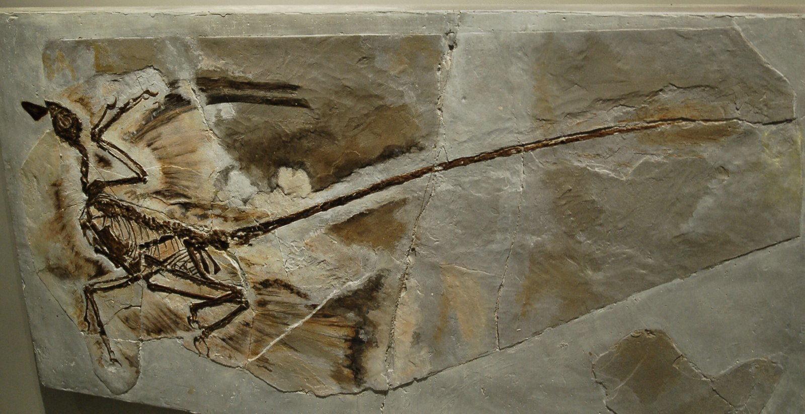 The Hidden Clues (image credits: wikimedia)