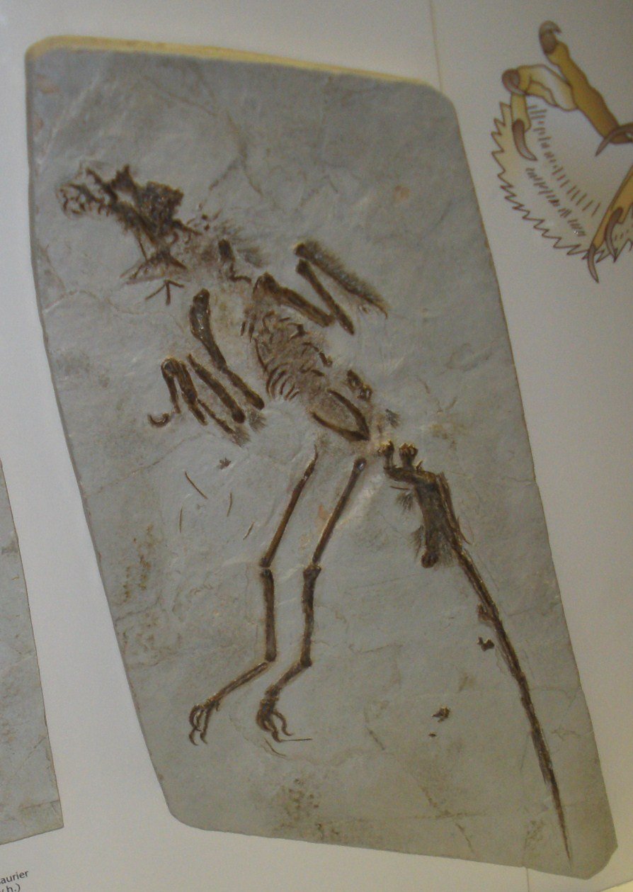From Ancient Tools to Modern Science (image credits: wikimedia)