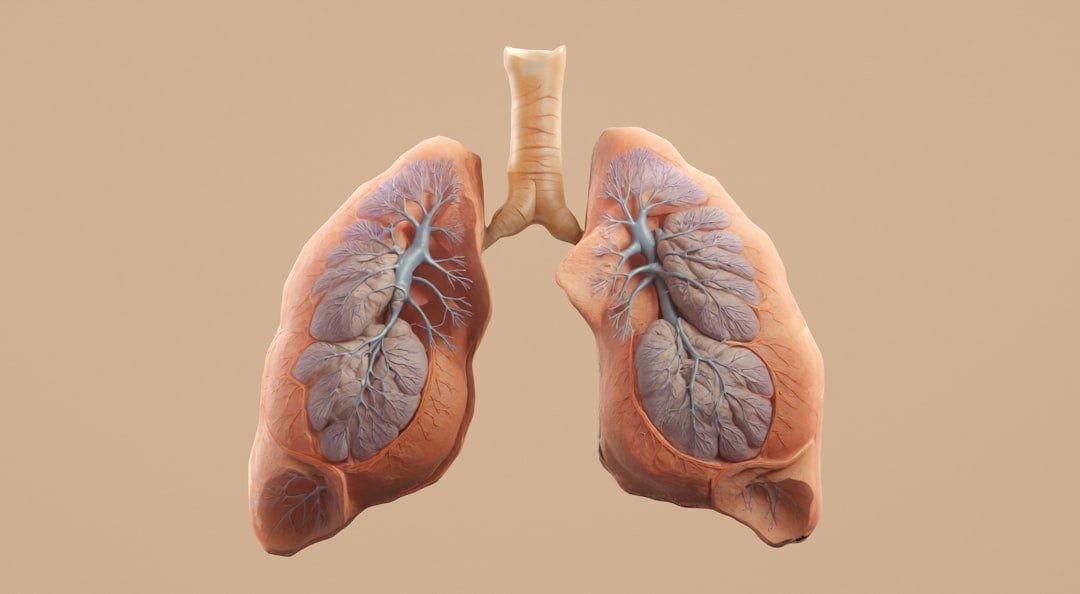 Mini-Lungs Join the Network (image credits: unsplash)