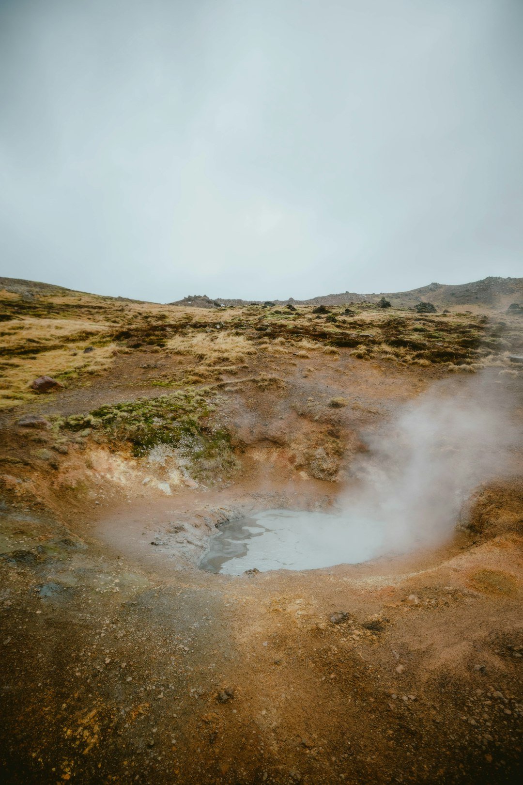 Global Perspectives (image credits: unsplash)