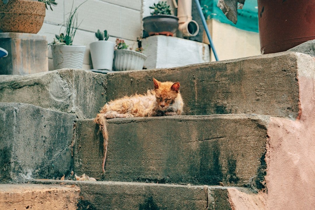 Why It Matters (image credits: unsplash)