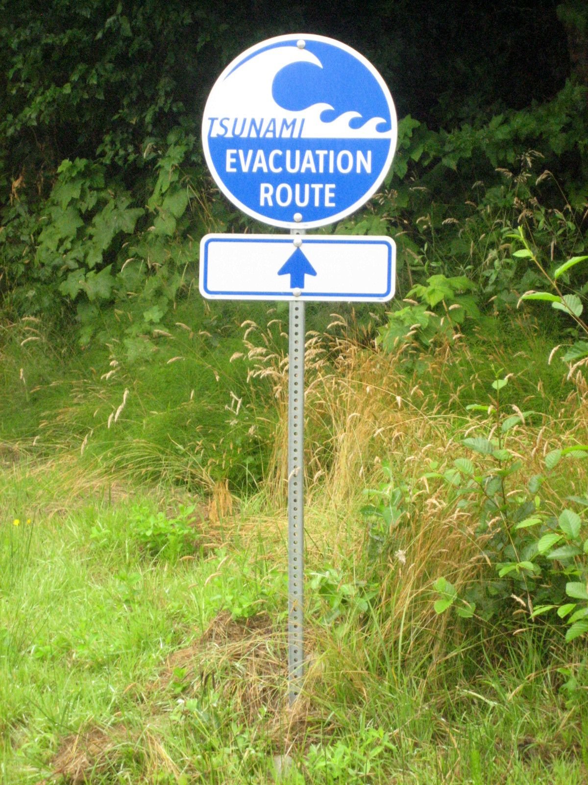 Call to Action (image credits: wikimedia)