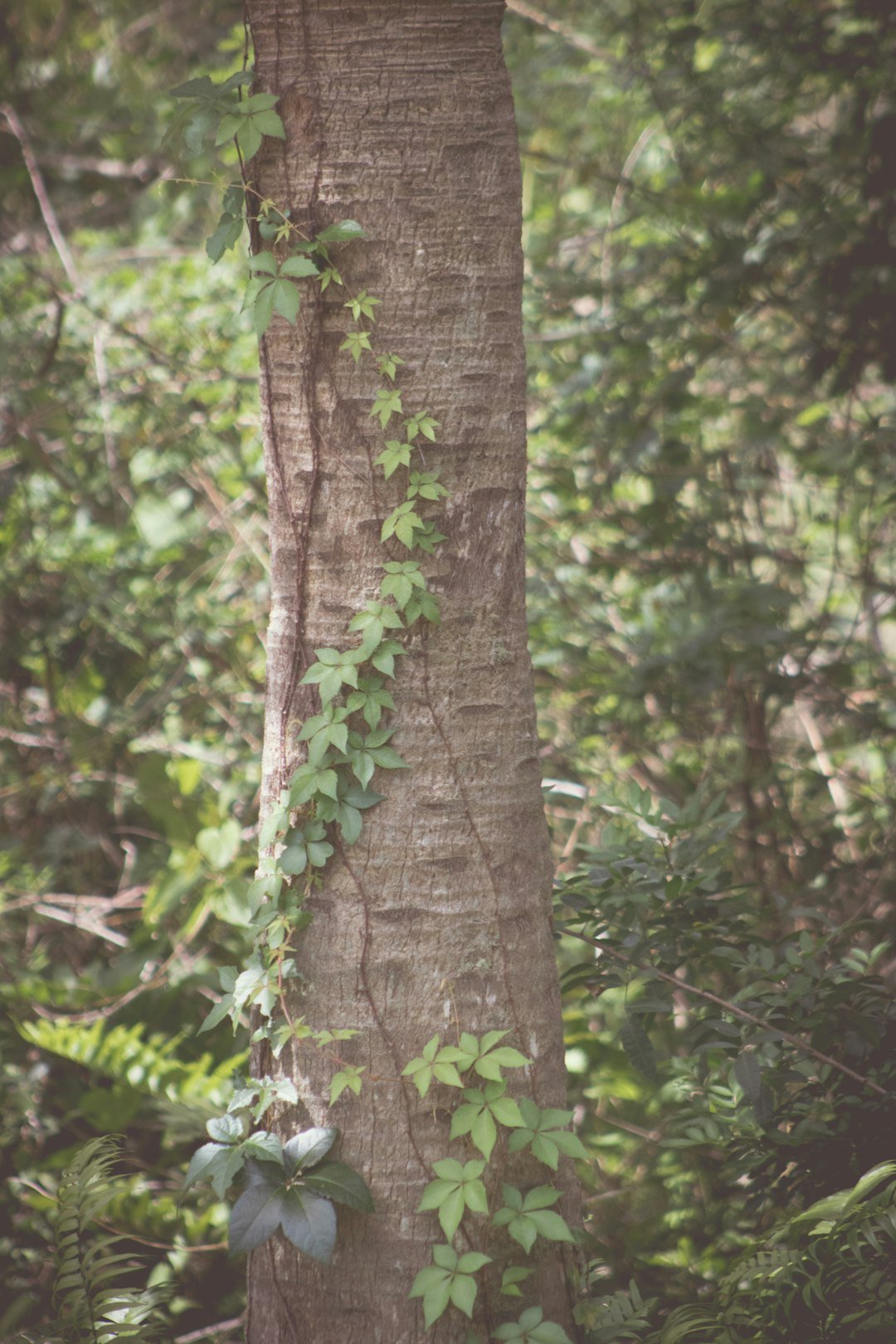 Darkness, Touch, and Scent: The Hidden Navigation System (image credits: unsplash)
