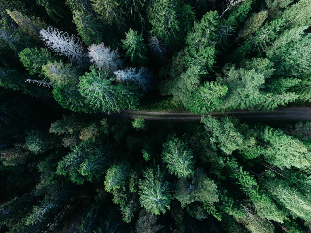 The Future Landscape (image credits: unsplash)