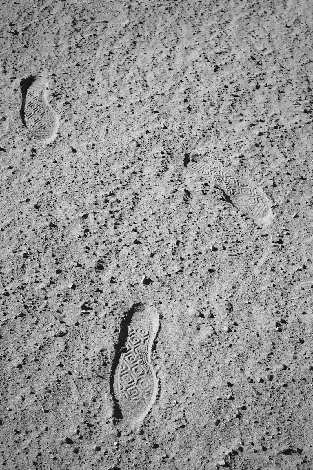 The Human Body on Lunar Scales (image credits: unsplash)