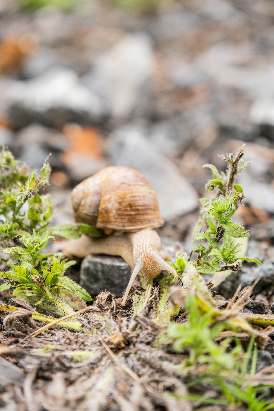 Global Perspectives: Ethics, Access, and Equity (image credits: unsplash)