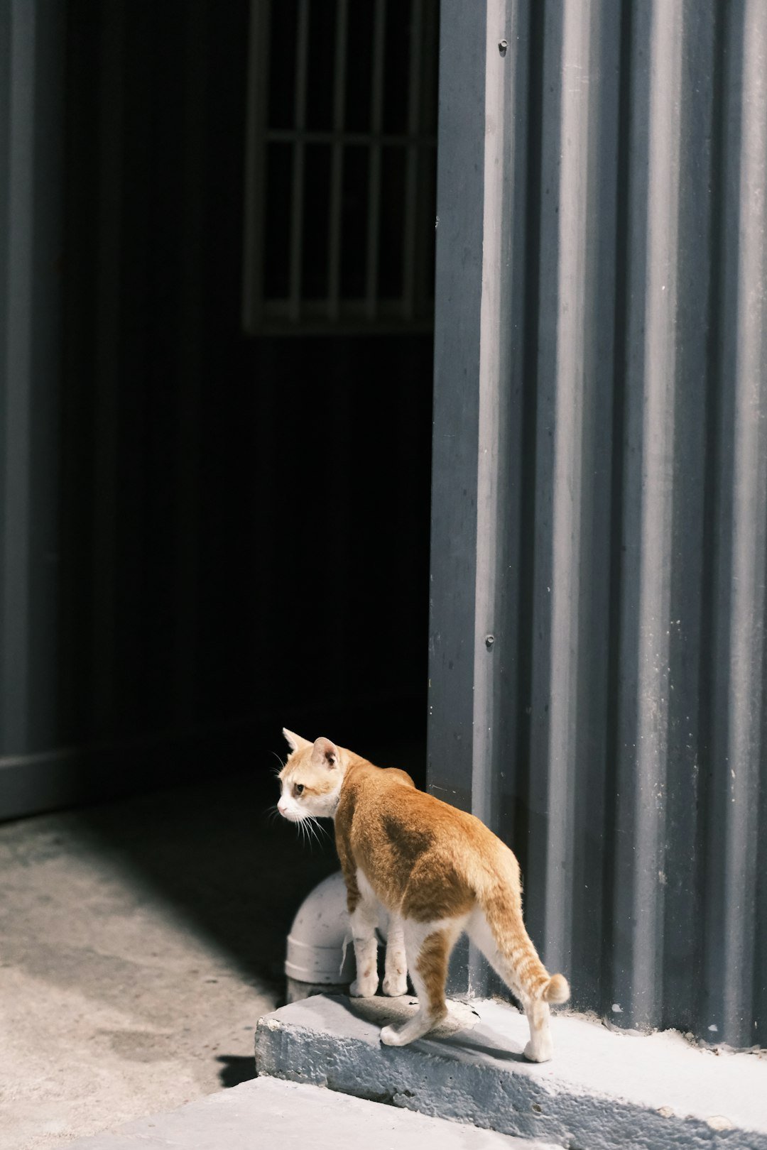 Why It Matters (image credits: unsplash)