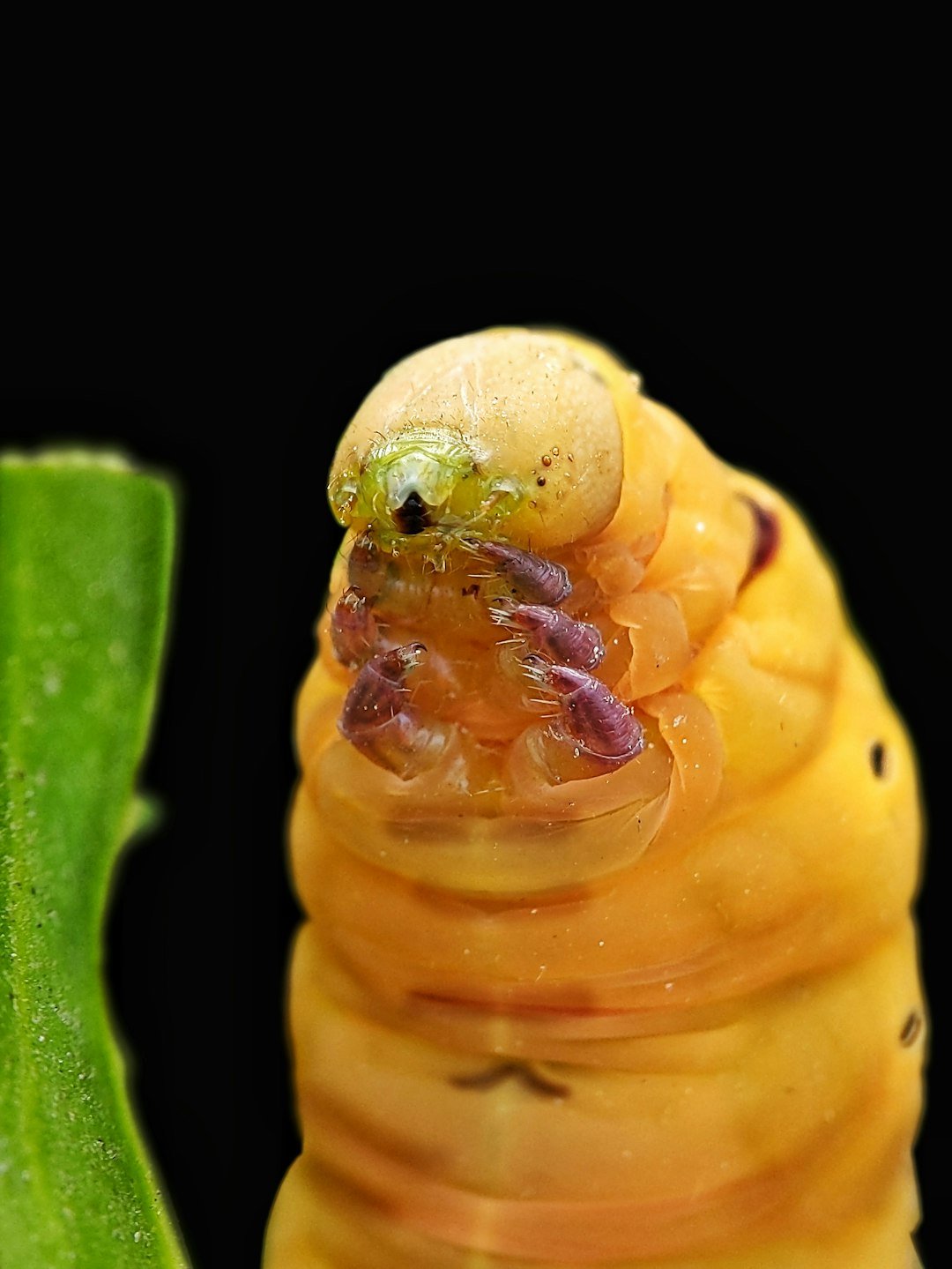 Meet the Architect (image credits: unsplash)