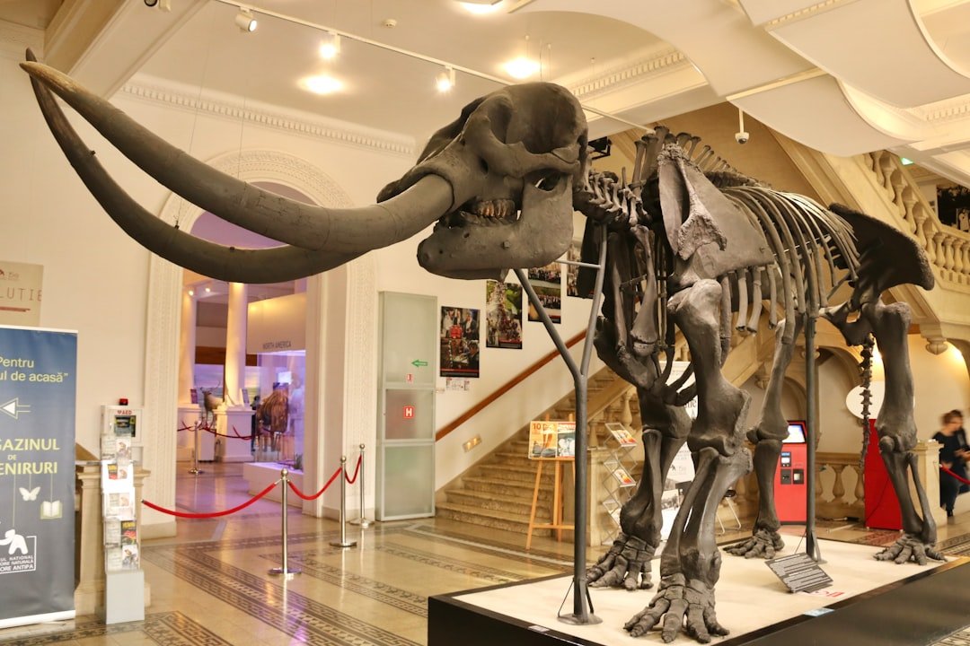 Giants of Old: Mastodon Remains and Human Giant Legends (image credits: unsplash)