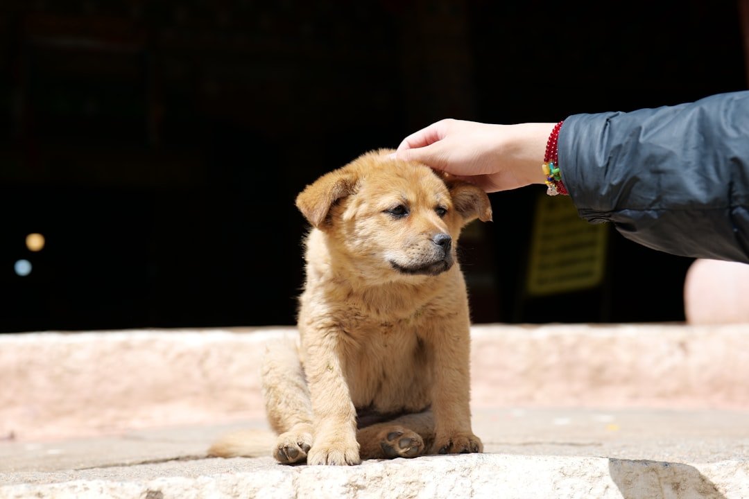 Conclusion: How You Can Make a Difference (image credits: unsplash)