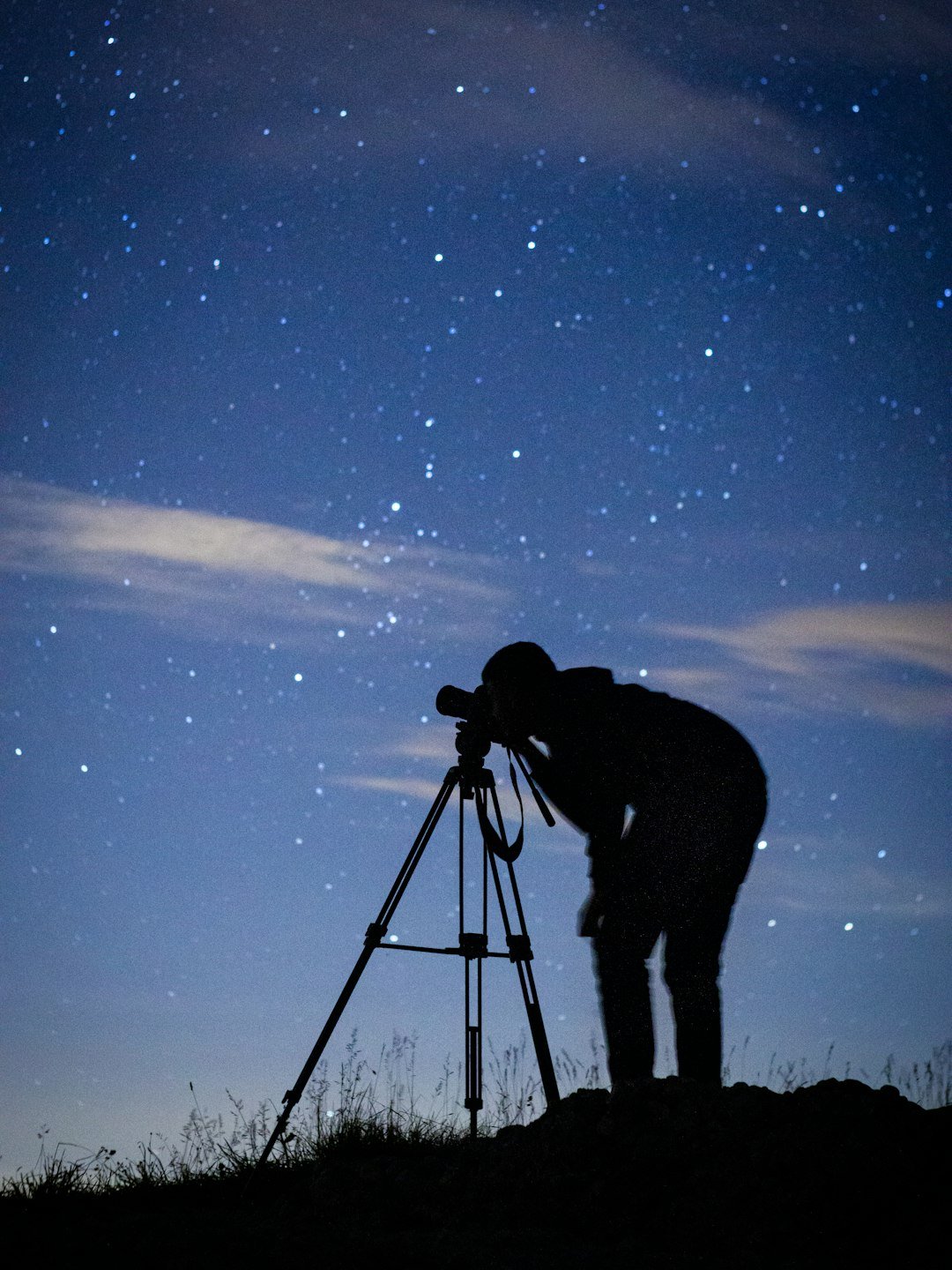 Global Perspectives (image credits: unsplash)