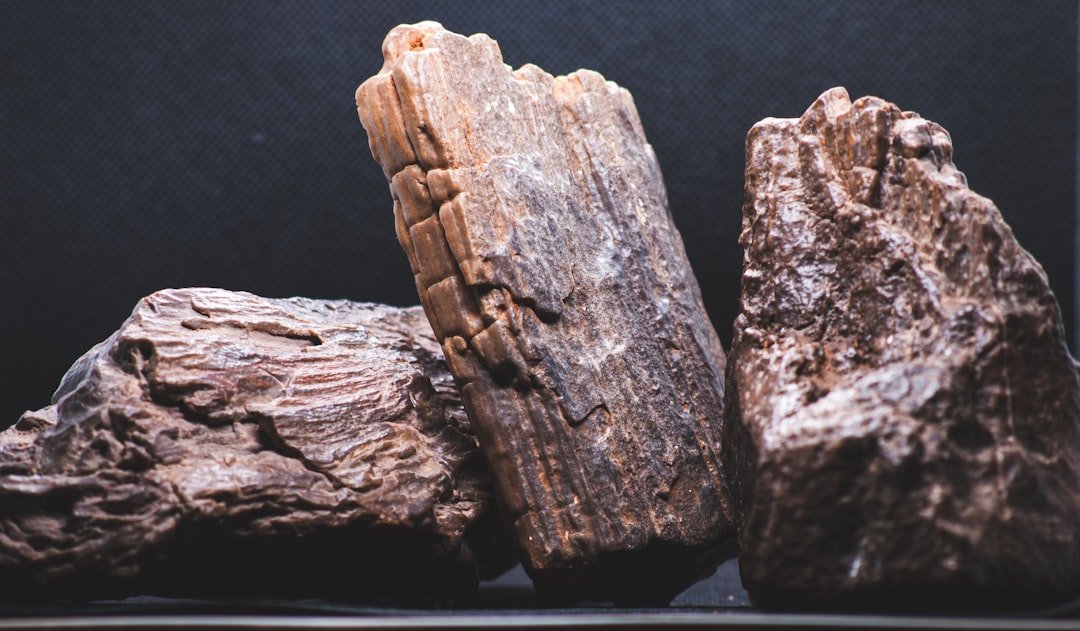 From Ancient Tools to Modern Science (image credits: unsplash)