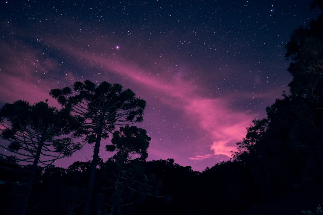 Global Perspectives (image credits: unsplash)