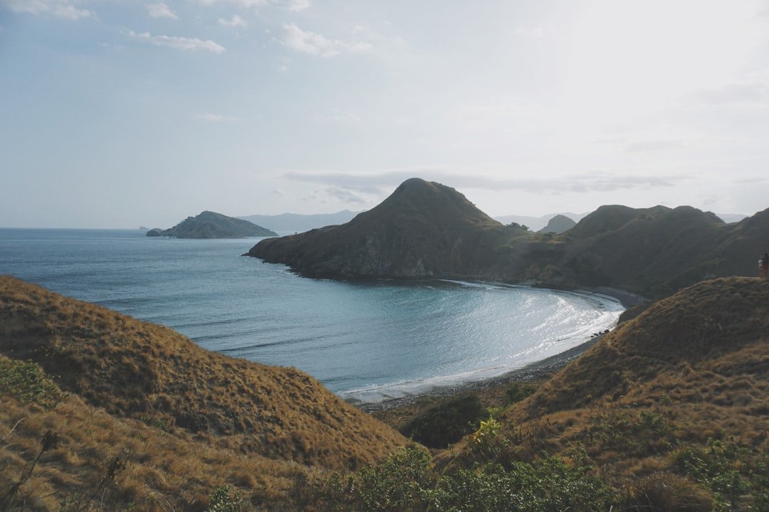 From Ancient Earth to Alien Seas (image credits: unsplash)