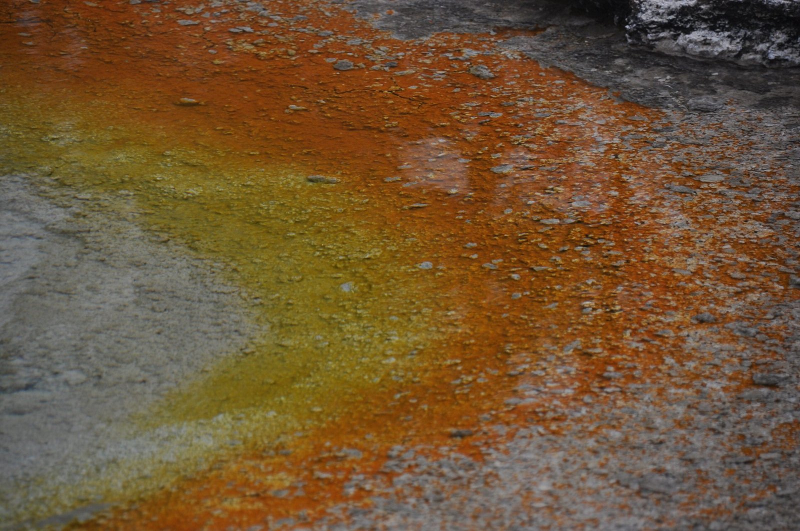 Living on Stone and Salt (image credits: wikimedia)