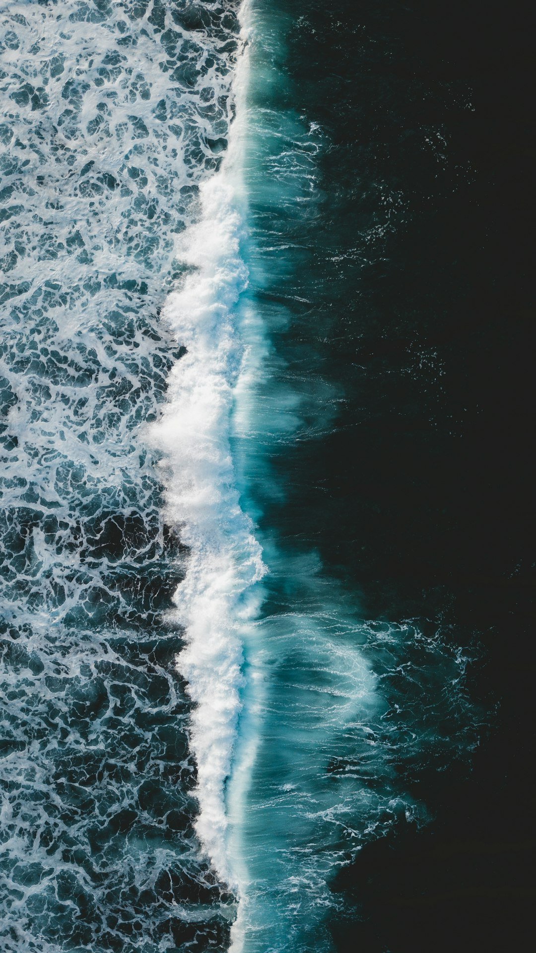 Global Perspectives (image credits: unsplash)