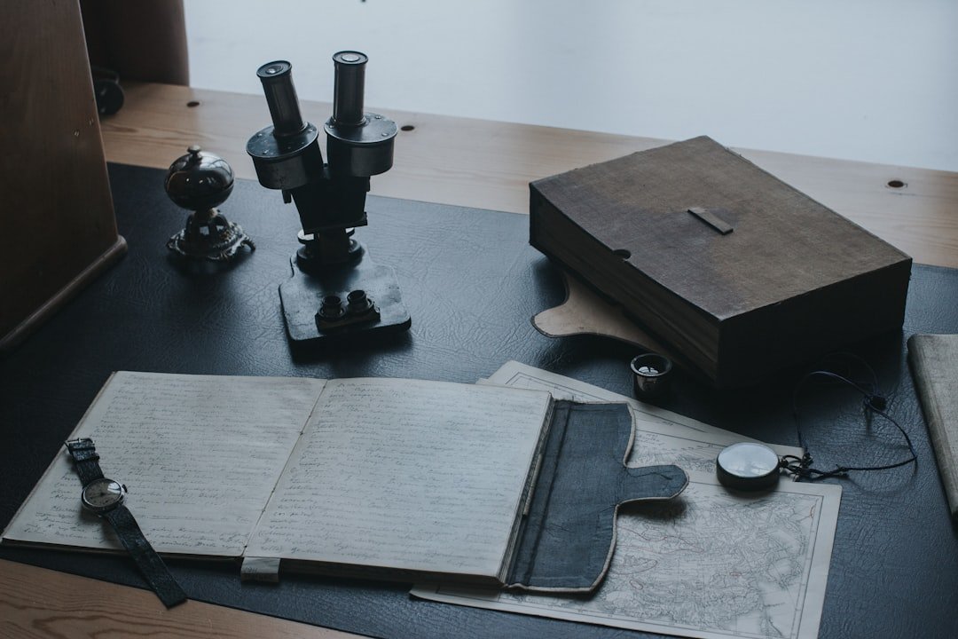 Global Perspectives (image credits: unsplash)