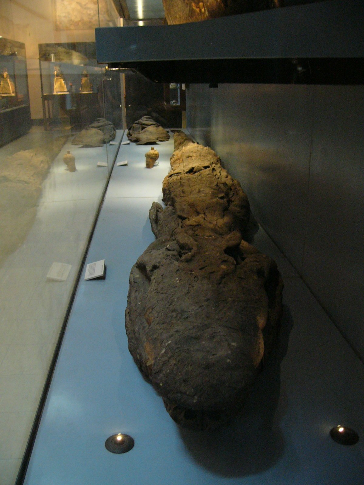 Anatomy of an Embalming (image credits: wikimedia)